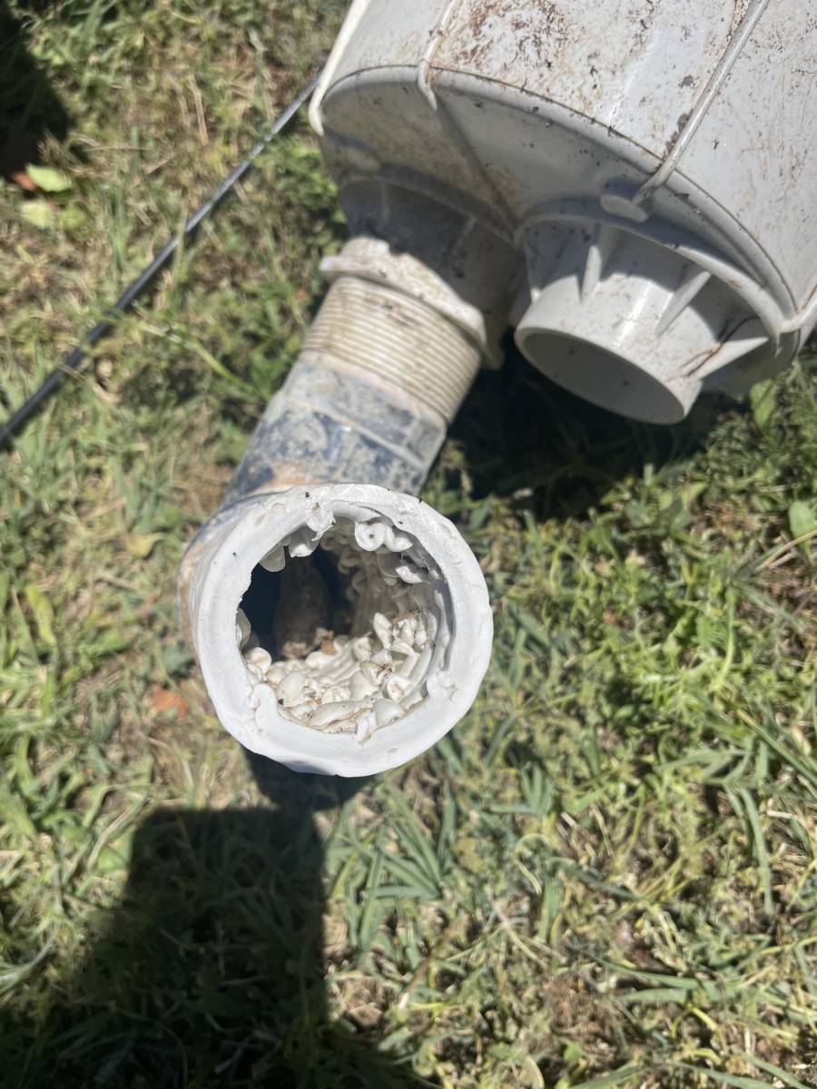 Peut-on mettre les galet de chlore ou de brome dans les skimmers?