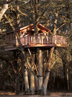 La Cabane Perchée à Apt : L'Artisan de Vos Rêves de Construction Bois Insolite