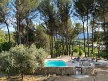 MAS SOUS LES PINS à Gargas : Vitrine d'Exception de l'Art de Vivre Provençal