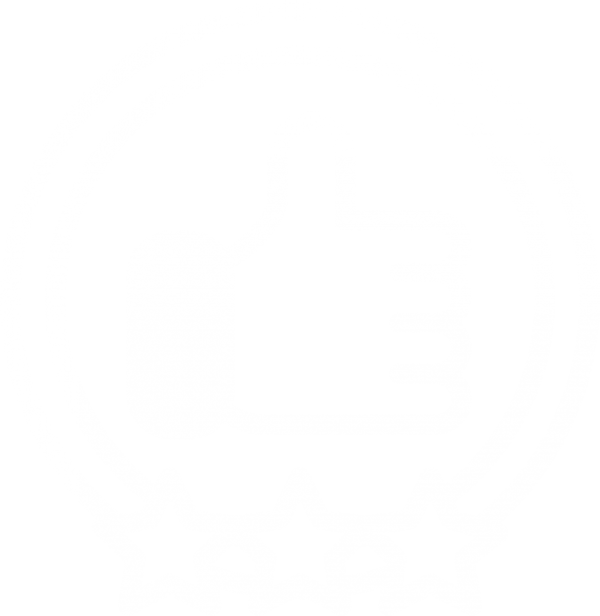 30 ans d'expérience